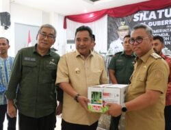 Pj. Gubernur Sulsel Kaget Kepala Desa di Lutim Gunakan Avanza Veloz