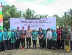 Ketua TP-PKK Lutim Hadiri Kegiatan Gerakan Tanam Cabe Serentak di Desa Maliwowo