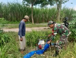 Solidnya Babinsa Dan Kelompok Tani Di Udanawu Dalam Ketahanan Pangan