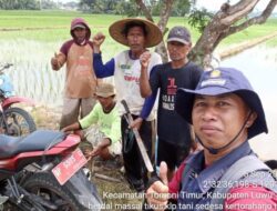 Gropyokan Serentak di Tomoni Timur Berhasil Musnakan 1.000 Ekor Tikus