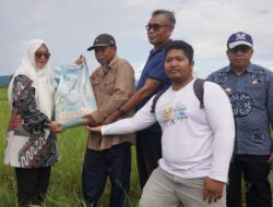 Wabup Puspa Tinjau Lahan Sawah yang Terserang Hama Tikus di Mahalona