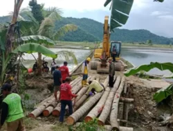 Warga Alam Buana Gotong Royong Bangun Jembatan Darurat dari Batang Kelapa