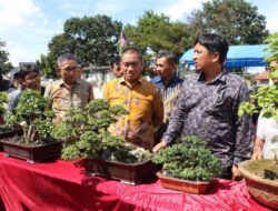 Bupati Irwan Tutup Pameran Bonsai Jilid II, Kagumi Pesona Bonsai Endemik Lutim