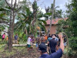 Pemdes Bersama Warga Teromu Gotong Royong Buat Jembatan dari Batang Kelapa
