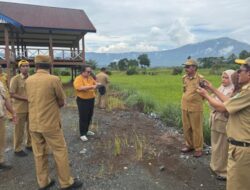 Direktur Pengadaan Lahan Kementan Tinjau Langsung Potensi Cetak Sawah 10.000 Ha di Luwu Timur