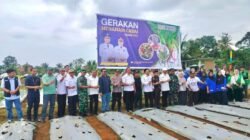 Pemkab Lutim Gencarkan Gerakan Tanam Cabai Atasi Inflasi dan Perkuat Ketahanan Pangan