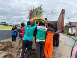 Cegah DBD, Pemkab Lutim Angkut 18 Truk Ban Bekas dari Empat Kecamatan