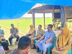 Hari Tani Nasional, Firman Udding Harap Pemerintah Hadir Ditengah Petani