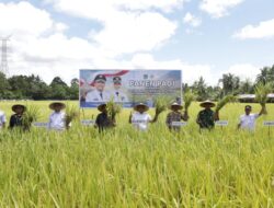 Bupati Irwan Dorong Kemajuan Pertanian Luwu Timur