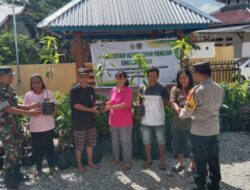 Tingkatkan Ketahanan Pangan, Pemdes Rante Mario Salurkan Bibit Mangga Kiojay Kepada Warganya