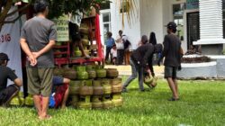 Stabilisasi Pasokan dan Harga Gas Melon, Pemkab Lutim Gelar Pasar Murah Elpiji 3 Kg