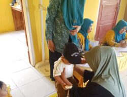 Ketua TP PKK Desa Lampenai Pantau Langsung Kegiatan Posyandu Balita di Dusun Langgiri