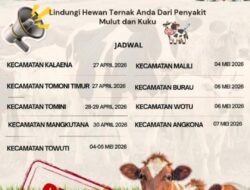 Lindungi Hewan Ternak, Dinas Pertanian Luwu Timur Gelar Vaksinasi PMK Gratis