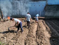 Perkuat Swasembada Pangan, Desa Lampenai Kompak Jalankan “Gerakan Indonesia Menanam”