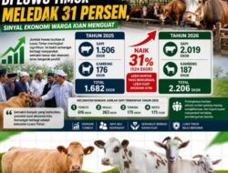 Peningkatan Capaian Hewan Kurban 2026 Jadi Indikator Positif Pertumbuhan Ekonomi Luwu Timur