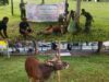 Perkuat Kemanunggalan TNI-Rakyat, Koramil 1403-14 Mangkutana Salurkan Paket Daging Kurban