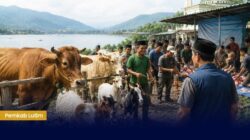 Antusiasme Warga Towuti Berqurban Luar Biasa, Hewan Qurban Capai 603 Ekor