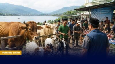 Antusiasme Warga Towuti Berqurban Luar Biasa, Hewan Qurban Capai 603 Ekor