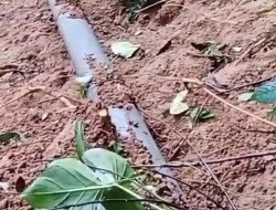 Pipa 8 Inci Bocor Akibat Longsor di Kasintuwu, Distribusi Air Perumdam Waemami di Tiga Wilayah Terhenti Sementara