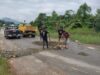 Pemkab Lutim Respon Cepat Aduan Jalan Rusak Ussu-Batas Kota Malili