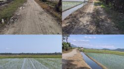 Infrastruktur Minim, Petani di Maramba Luwu Timur Keluhkan Akses Jalan Tani Masih Berbatu