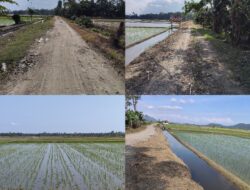 Infrastruktur Minim, Petani di Maramba Luwu Timur Keluhkan Akses Jalan Tani Masih Berbatu