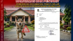 Antisipasi Gangguan Kamtibmas dan Penyakit, Pemerintah Kecamatan Towuti Gelar Rakor Khusus Penanganan Anjing Liar