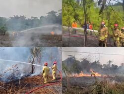 Cuaca Ekstrem Pemicu Karhutla, Damkar Luwu Timur Padamkan 11 Titik Api hingga Pertengahan Agustus
