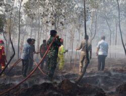 Turun Padamkan Kebakaran Lahan, Bupati Irwan Imbau Masyarakat Waspada Karhutla