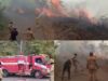 Tim Damkar Luwu Timur Terjunkan Armada ke Lokasi Kebakaran Hutan di Wonorejo