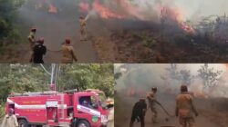 Tim Damkar Luwu Timur Terjunkan Armada ke Lokasi Kebakaran Hutan di Wonorejo