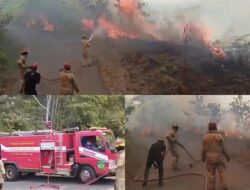 Tim Damkar Luwu Timur Terjunkan Armada ke Lokasi Kebakaran Hutan di Wonorejo