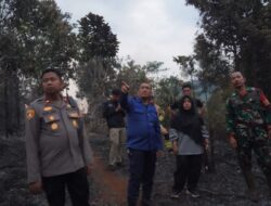 Respons Cepat Kebakaran Hutan, Bupati Luwu Timur Tinjau Lokasi di Puncak Indah