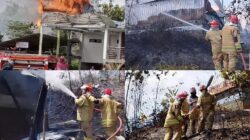 Damkar Luwu Timur Berjibaku Seharian, 7 Hektare Lahan dan Bangunan Walet Luhur Dilahap Si Jago Merah