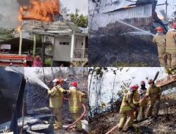 Damkar Luwu Timur Berjibaku Seharian, 7 Hektare Lahan dan Bangunan Walet Luhur Dilahap Si Jago Merah