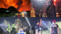 Wujud Solidaritas Antardaerah, Pemkab Luwu Timur Pimpin Aksi Tanggap Karhutla di Poso