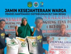 Jamin Kesejahteraan Warga, Pemdes Rantemario Distribusikan BLT dan Beras