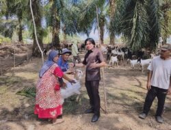 Tepati Janji ke Peternak, Wahidin Wahid Kucurkan 60 Ekor Kambing untuk Kelompok Ternak Gemilang Teromu