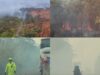 Kabut Asap Kebakaran Lahan Lumpuhkan Jalur Poros Enggano–Wawondula, Antrean Kendaraan Tembus 3 Kilometer
