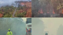 Kabut Asap Kebakaran Lahan Lumpuhkan Jalur Poros Enggano–Wawondula, Antrean Kendaraan Tembus 3 Kilometer
