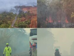 Kabut Asap Kebakaran Lahan Lumpuhkan Jalur Poros Enggano–Wawondula, Antrean Kendaraan Tembus 3 Kilometer
