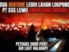 Dua Hektare Lebih Lahan Logpond PT SGS Luwu Diamuk si Jago Merah, Petugas Bikin Parit Air Laut Halau Api