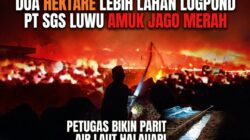 Dua Hektare Lebih Lahan Logpond PT SGS Luwu Diamuk si Jago Merah, Petugas Bikin Parit Air Laut Halau Api