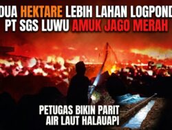 Dua Hektare Lebih Lahan Logpond PT SGS Luwu Diamuk si Jago Merah, Petugas Bikin Parit Air Laut Halau Api
