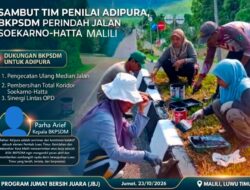 Sambut Tim Penilai Adipura, BKPSDM Luwu Timur Perindah Estetika Jalan Soekarno-Hatta Malili