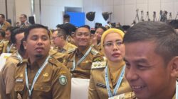 Dipimpin Presiden, Bupati Luwu Timur Hadiri Rakornas TPAKD di Jakarta